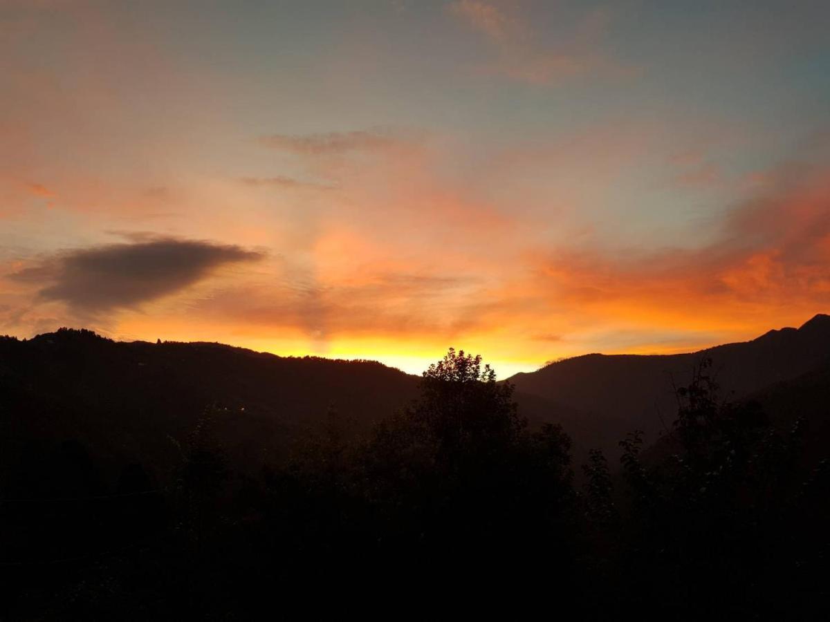 Lala Mountain Homestay‧Cile Farm Hualing Exteriör bild