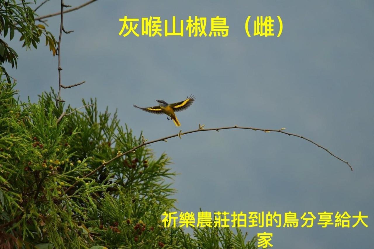 Lala Mountain Homestay‧Cile Farm Hualing Exteriör bild