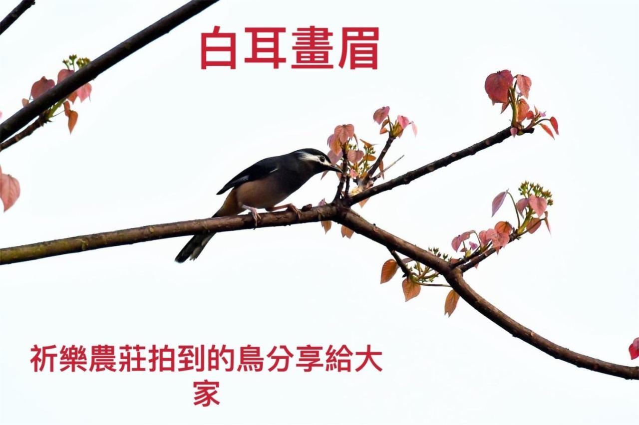 Lala Mountain Homestay‧Cile Farm Hualing Exteriör bild