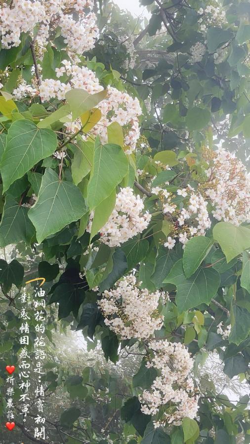 Lala Mountain Homestay‧Cile Farm Hualing Exteriör bild